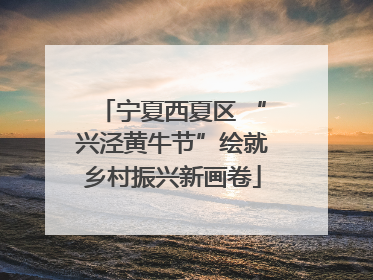宁夏西夏区 “兴泾黄牛节”绘就乡村振兴新画卷