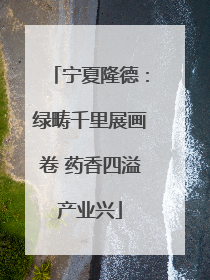 宁夏隆德：绿畴千里展画卷 药香四溢产业兴