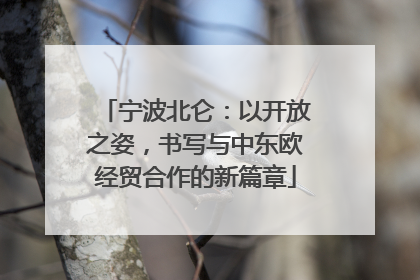 宁波北仑：以开放之姿，书写与中东欧经贸合作的新篇章
