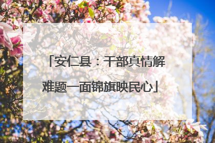 安仁县：干部真情解难题一面锦旗映民心