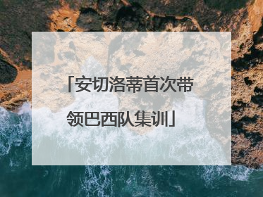 安切洛蒂首次带领巴西队集训