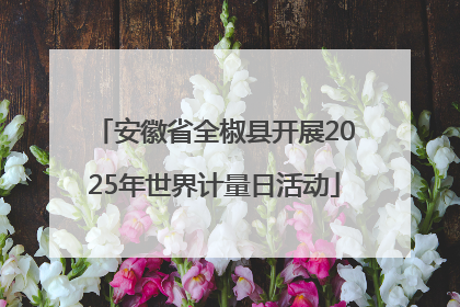 安徽省全椒县开展2025年世界计量日活动