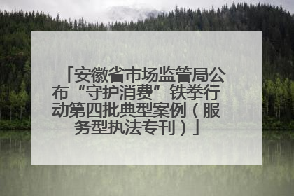 安徽省市场监管局公布“守护消费”铁拳行动第四批典型案例（服务型执法专刊）