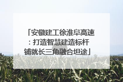 安徽建工徐淮阜高速：打造智慧建造标杆 铺就长三角融合坦途