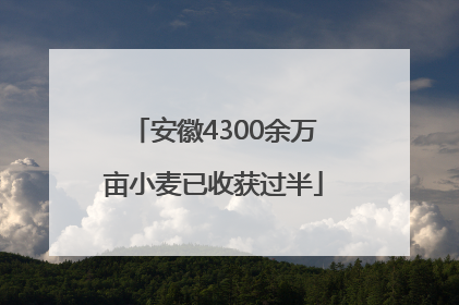 安徽4300余万亩小麦已收获过半