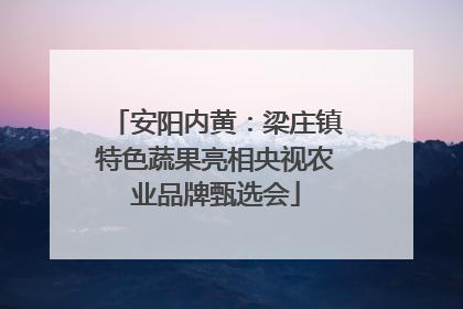 安阳内黄：梁庄镇特色蔬果亮相央视农业品牌甄选会