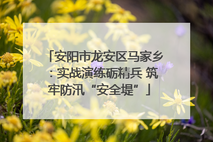 安阳市龙安区马家乡：实战演练砺精兵 筑牢防汛“安全堤”