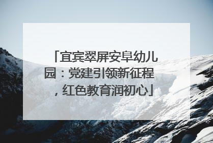 宜宾翠屏安阜幼儿园：党建引领新征程，红色教育润初心
