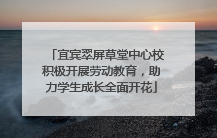宜宾翠屏草堂中心校积极开展劳动教育，助力学生成长全面开花