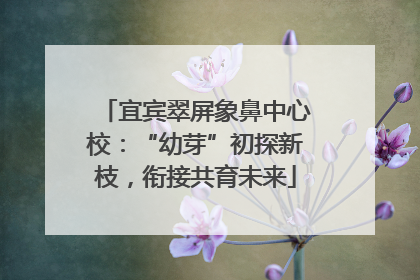 宜宾翠屏象鼻中心校：“幼芽”初探新枝，衔接共育未来