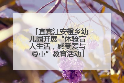 宜宾江安橙乡幼儿园开展“体验盲人生活，感受爱与尊重”教育活动