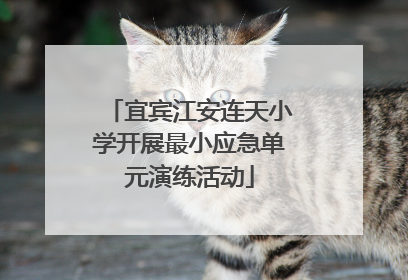宜宾江安连天小学开展最小应急单元演练活动