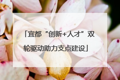 宜都“创新+人才”双轮驱动助力支点建设