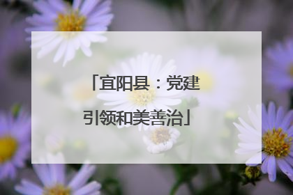 宜阳县：党建引领和美善治