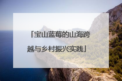 宝山蓝莓的山海跨越与乡村振兴实践
