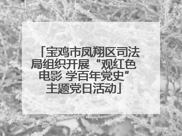 宝鸡市凤翔区司法局组织开展“观红色电影 学百年党史”主题党日活动