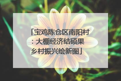 宝鸡陈仓区南阳村：大棚经济结硕果 乡村振兴绘新图