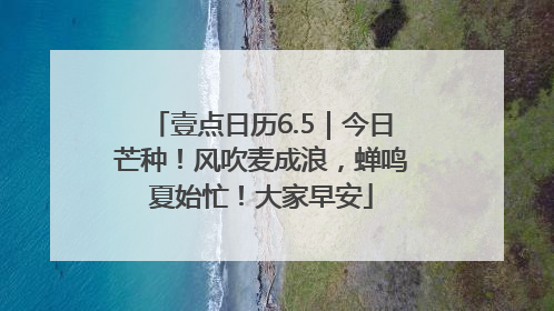 壹点日历6.5｜今日芒种！风吹麦成浪，蝉鸣夏始忙！大家早安