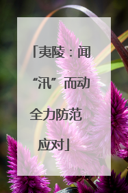 夷陵：闻“汛”而动 全力防范应对