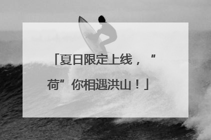 夏日限定上线，“荷”你相遇洪山！