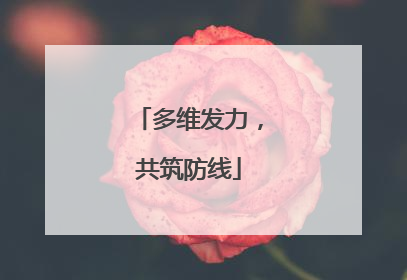 多维发力，共筑防线