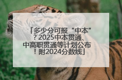 多少分可报“中本”？2025中本贯通、中高职贯通等计划公布！附2024分数线