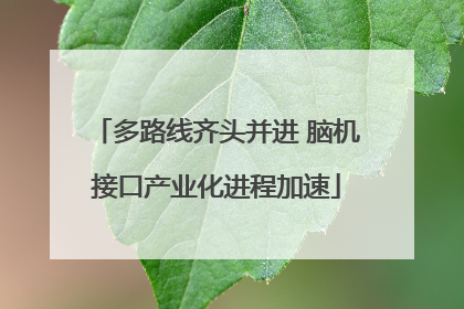 多路线齐头并进 脑机接口产业化进程加速
