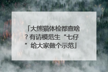 大熊猫体检都查啥？有请模范生“七仔”给大家做个示范
