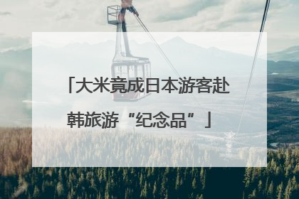 大米竟成日本游客赴韩旅游“纪念品”