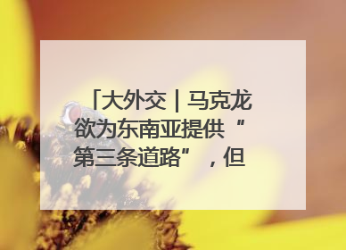 大外交｜马克龙欲为东南亚提供“第三条道路”，但“可靠伙伴”人设难掩困局