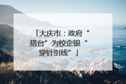 大庆市：政府“搭台”为校企银“穿针引线”