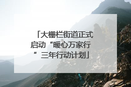 大栅栏街道正式启动“暖心万家行”三年行动计划
