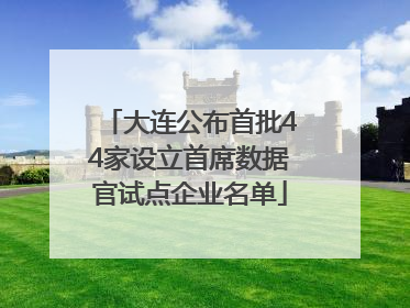大连公布首批44家设立首席数据官试点企业名单