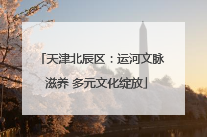 天津北辰区：运河文脉滋养 多元文化绽放