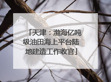 天津：渤海亿吨级油田海上平台陆地建造工作收官