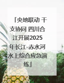 央地联动 干支协同 四川合江开展2025年长江-赤水河水上综合应急演练