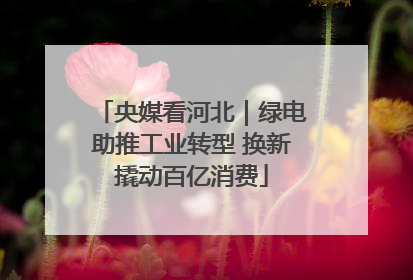 央媒看河北｜绿电助推工业转型 换新撬动百亿消费