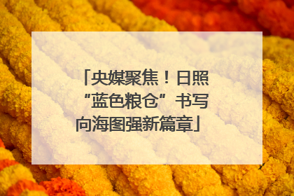 央媒聚焦！日照“蓝色粮仓”书写向海图强新篇章
