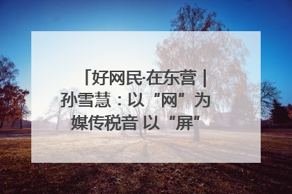 好网民·在东营｜孙雪慧：以“网”为媒传税音 以“屏”为介助发展