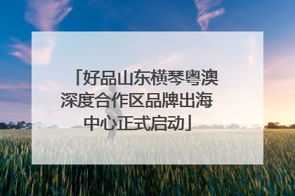 好品山东横琴粤澳深度合作区品牌出海中心正式启动