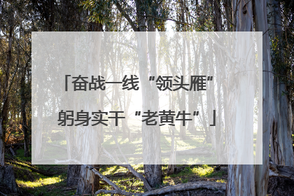 奋战一线“领头雁” 躬身实干“老黄牛”