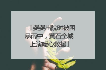 婆婆出院时被困暴雨中，黄石全城上演暖心救援