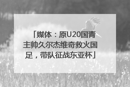媒体：原U20国青主帅久尔杰维奇救火国足，带队征战东亚杯