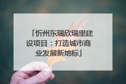 忻州东瑞欣瑞里建设项目：打造城市商业发展新地标