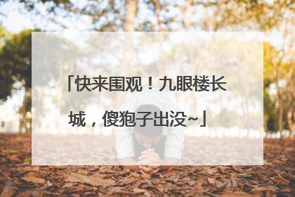 快来围观！九眼楼长城，傻狍子出没~