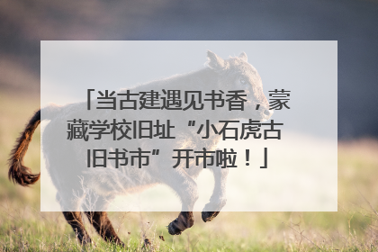 当古建遇见书香，蒙藏学校旧址“小石虎古旧书市”开市啦！