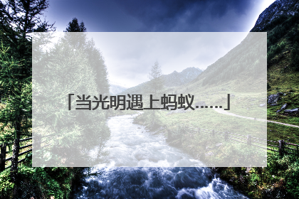 当光明遇上蚂蚁……