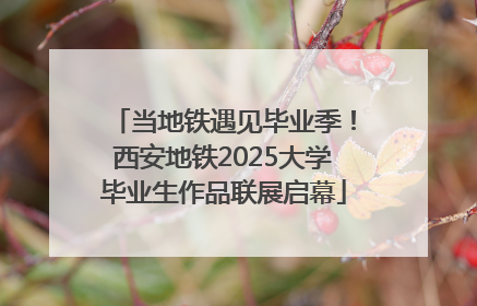 当地铁遇见毕业季！西安地铁2025大学毕业生作品联展启幕