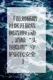 彭刘杨路社区开展危树清理行动，消除“头顶隐患”守护居民安全