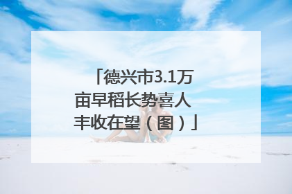 德兴市3.1万亩早稻长势喜人 丰收在望（图）